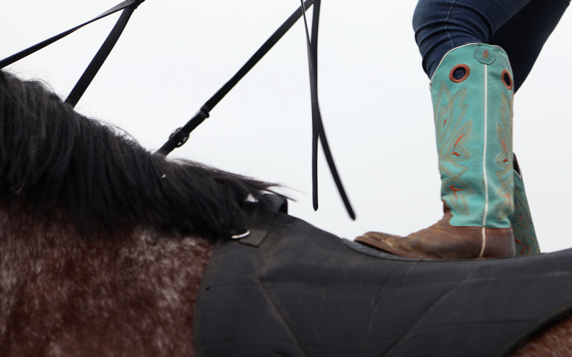 Michaela Redeker stands on her horses